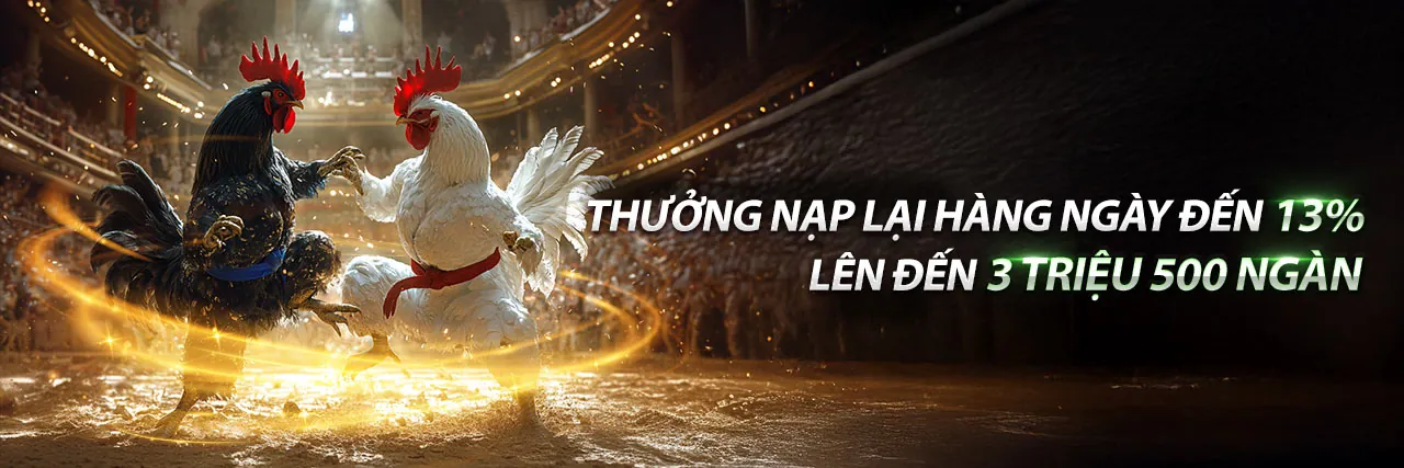 Tổng quan các chương trình khuyến mãi mới nhất tại vn8