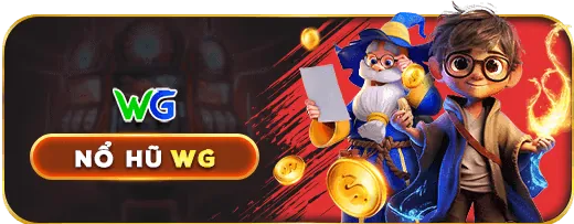 Email Hỗ trợ vn8